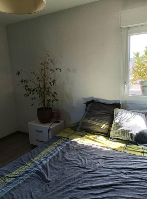 Apartamento T2 Tres Lumineux + Pkg *