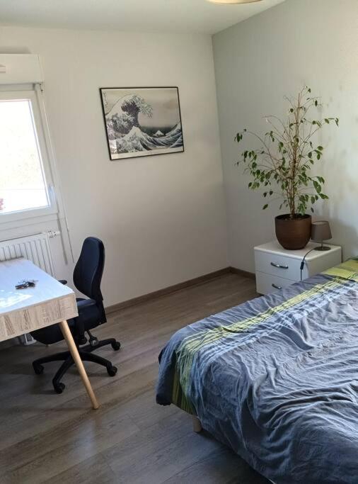 Apartamento T2 Tres Lumineux + Pkg