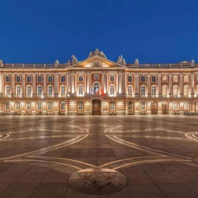 T2 Tres Lumineux + Pkg * Toulouse